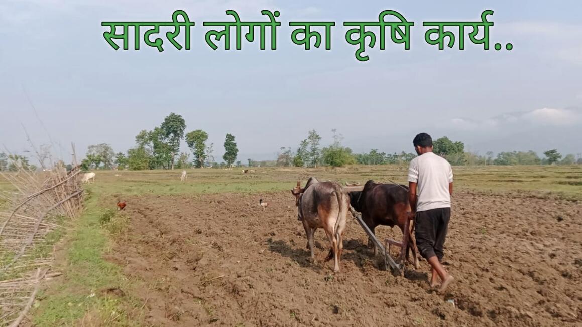 Agriculture
